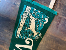 Load image into Gallery viewer, Oxford Pennant Vermont, Buffalo New York