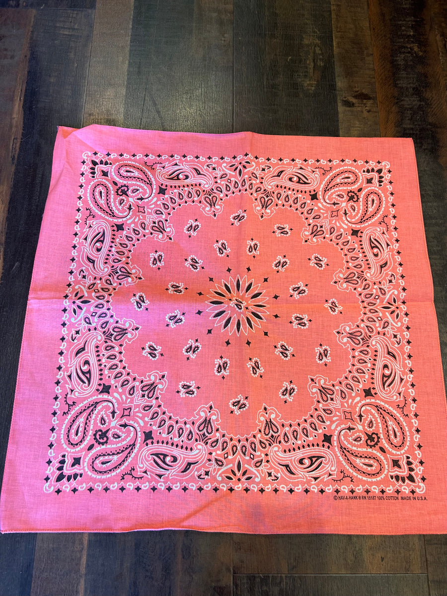 Deadstock 1990-2000'S HAV-A-HANK BANDANA RED/NAVY Made In USA - Luby's - Foto 3