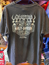 Load image into Gallery viewer, Vintage Harley Florida Snake, XL
