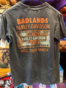 Vintage Harley Eagle Badlands, Small