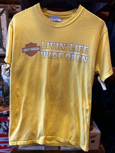 Vintage Harley Yellow Arizona Eagle, Medium