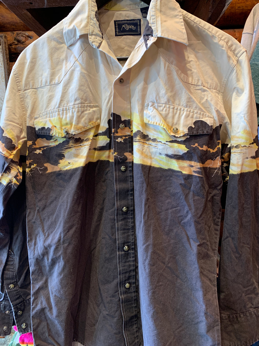 4. Vintage Roper Desert Scape Western Shirt. Unisex Small