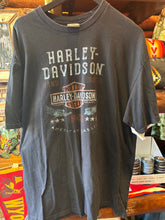 Load image into Gallery viewer, Vintage Harley Temples Texas, XXL

