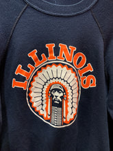 Load image into Gallery viewer, Vintage Illinois Sweater, Medium
