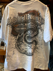 Vintage Harley Dragon Smoky Mountains, XXL