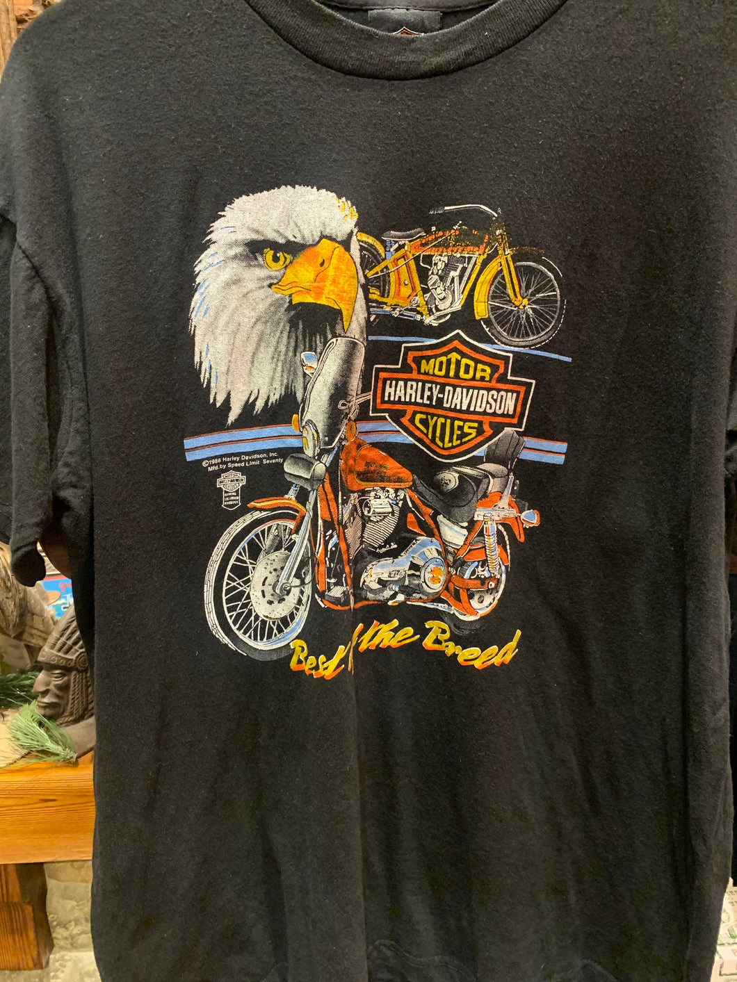 10. Vintage Harley Best Breed, Pennsylvania M-L