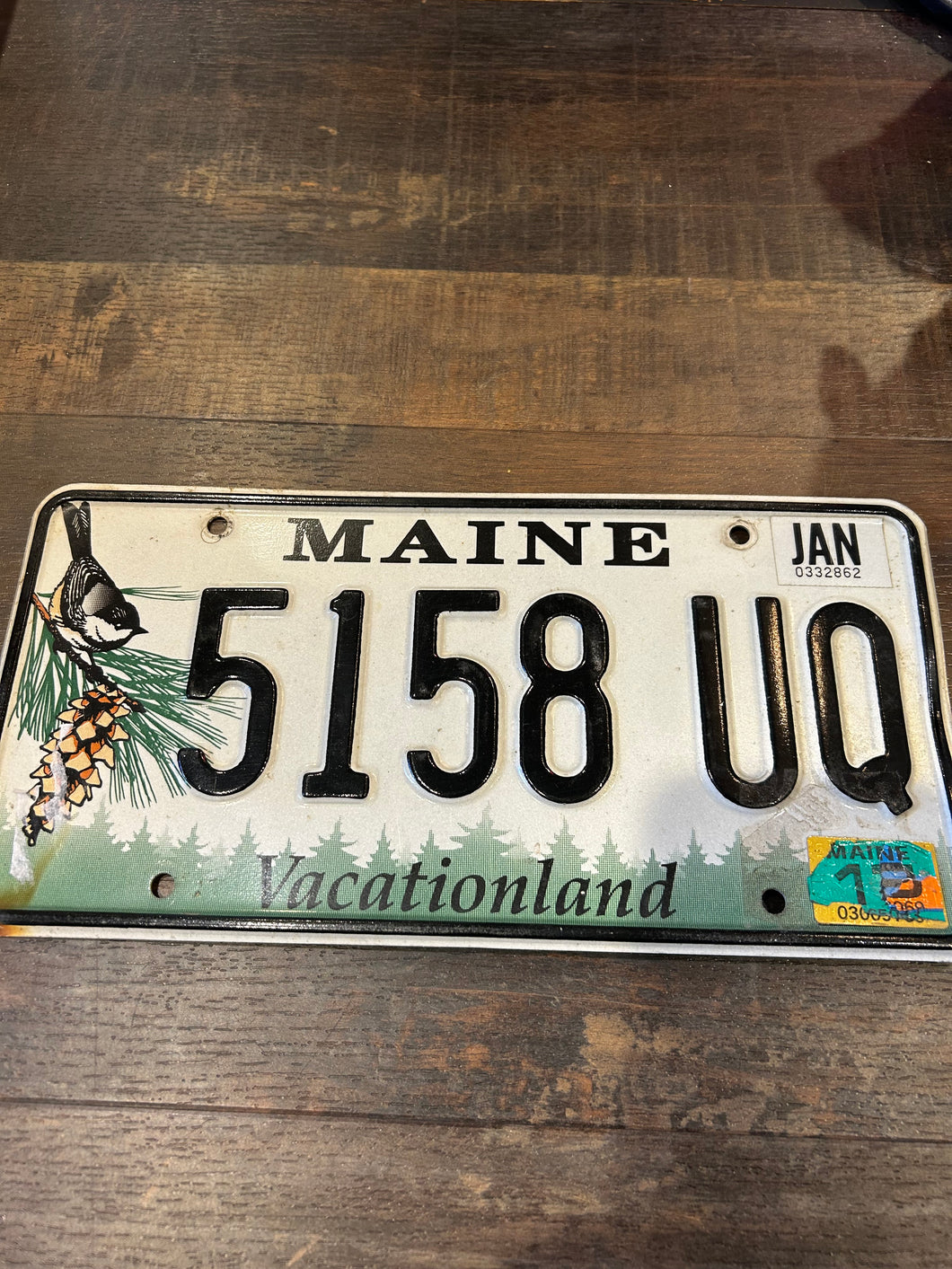 Vintage Maine Sparrow Number Plate
