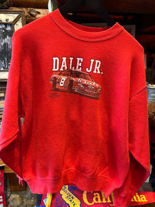 Vintage Dale Jr Nascar Sweater, Small