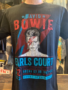 David Bowie Ziggy Earls Court
